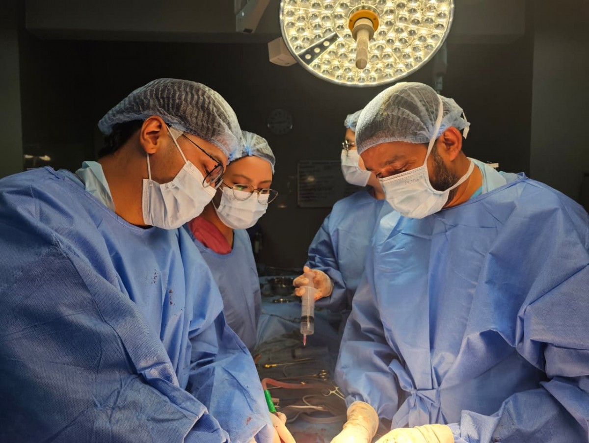 Liver transplant hotc.jpeg